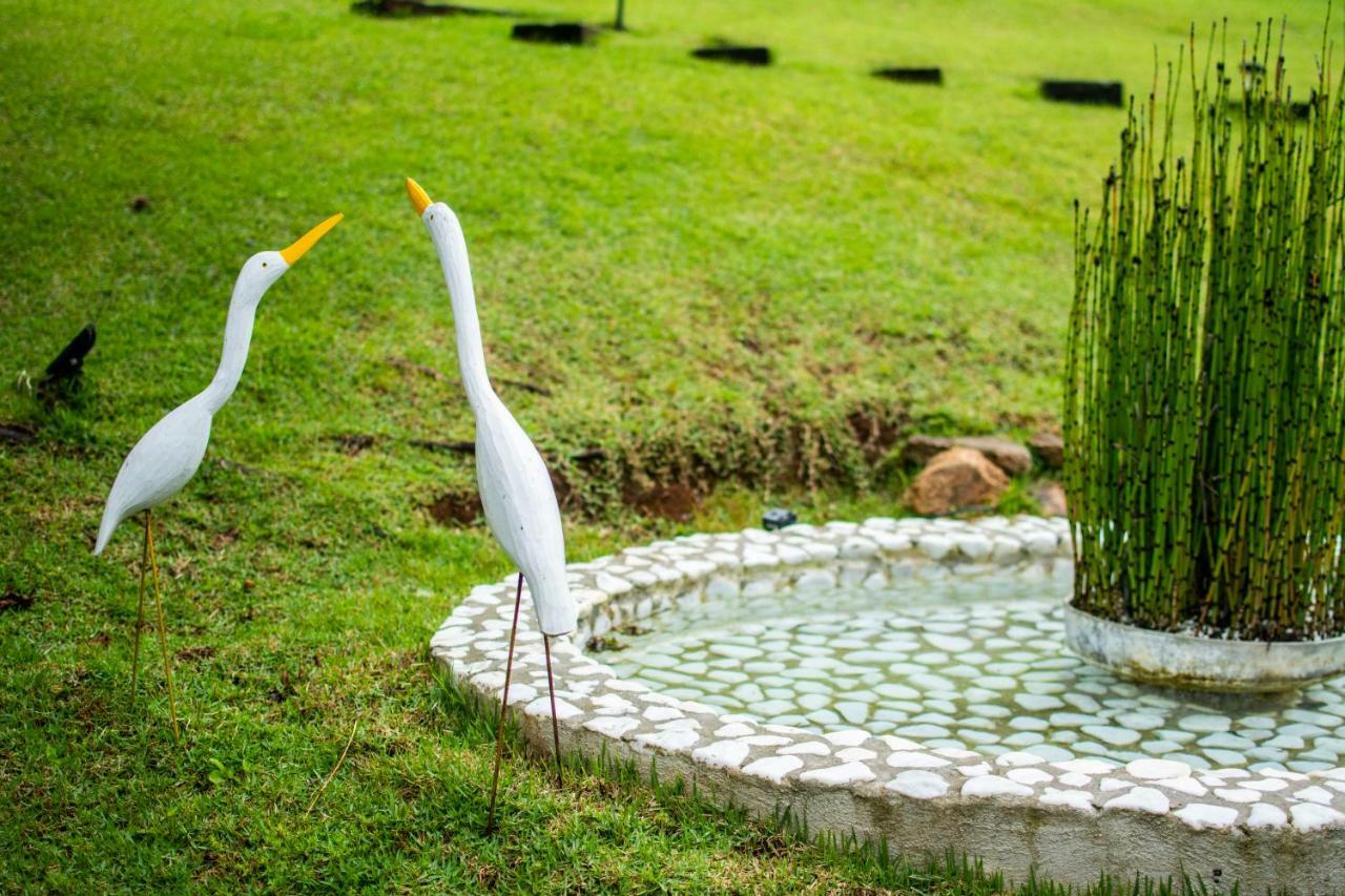Pousada Toca Dos Tucanos Campos do Jordao Ngoại thất bức ảnh